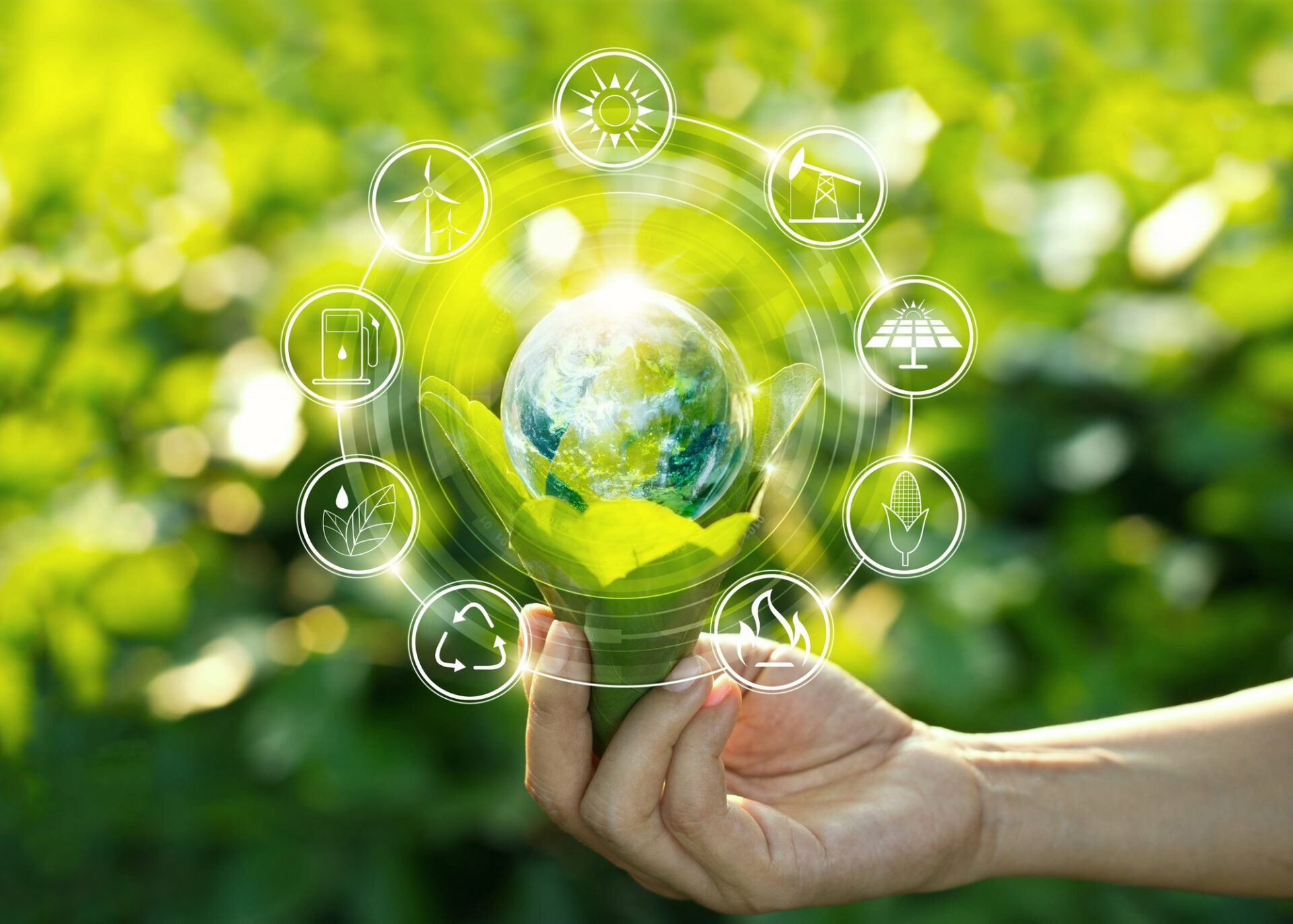 Worldsensing among 100 companies embracing circular economy practices
