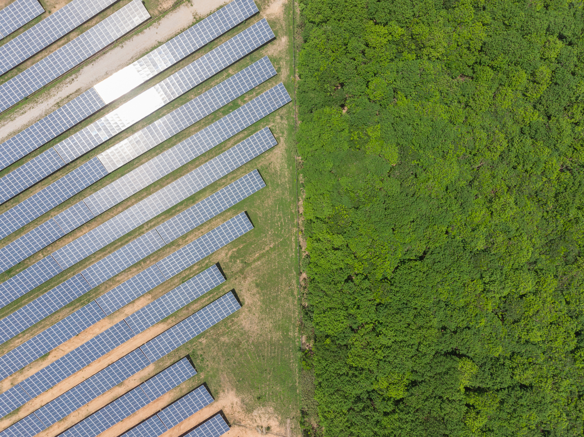 Exploiting the solar energy surplus for Edge Computing